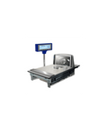 epelsa check out system 8325