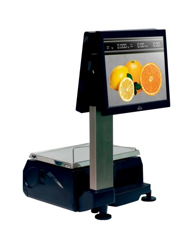 epelsa touchscale 20rl evo